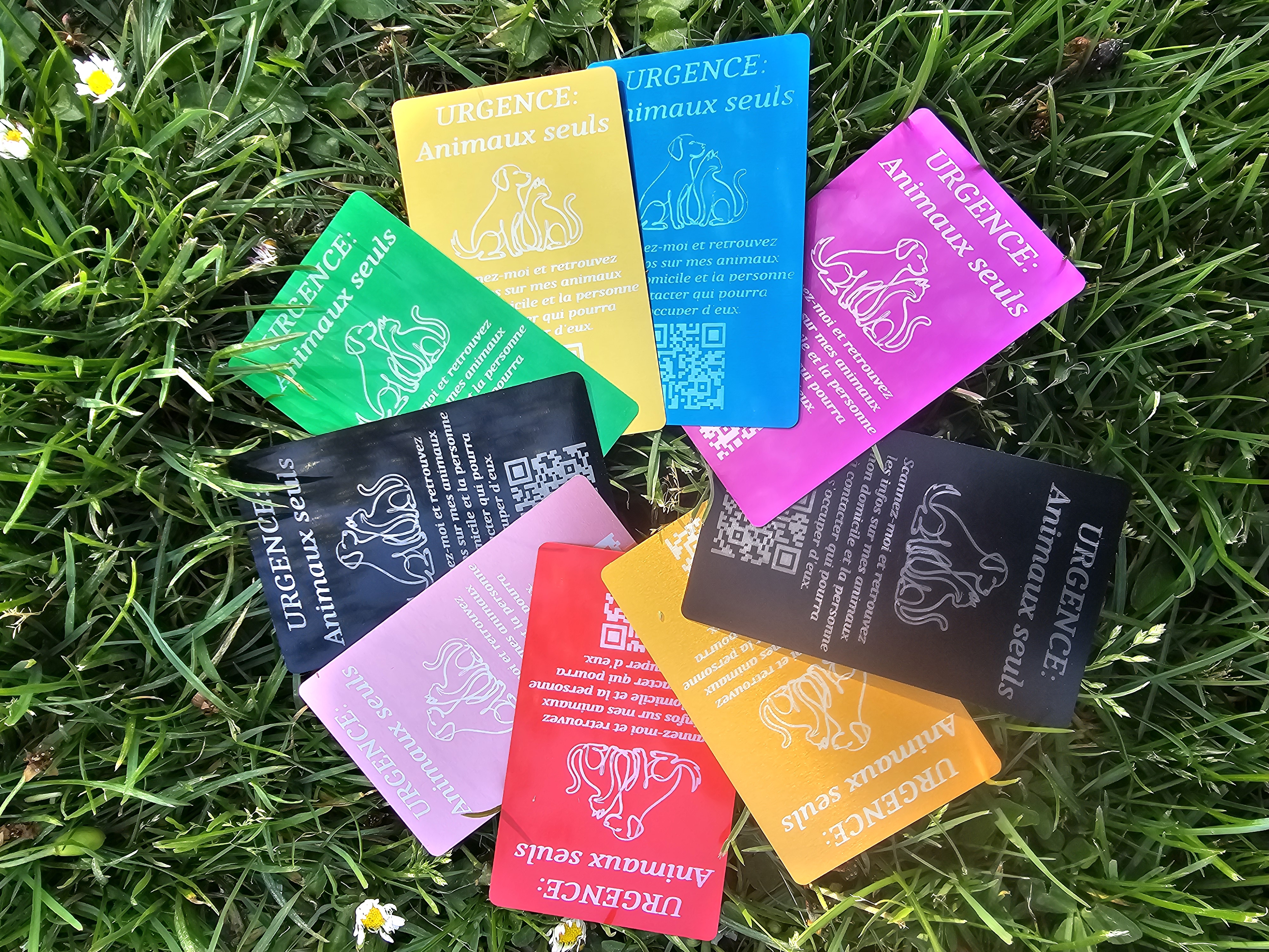 Carte Urgence Animaux seuls en aluminium gravé laser — 9 coloris disponibles — Signature Animale Toulouse