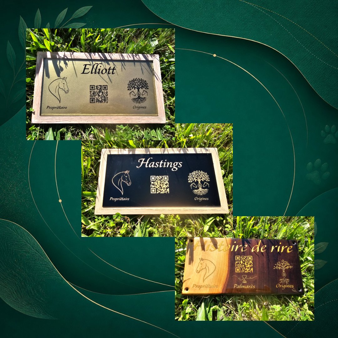 Plaque de box cheval gravée laser en verre doré — personnalisée avec nom et origines — Signature Animale Toulouse
