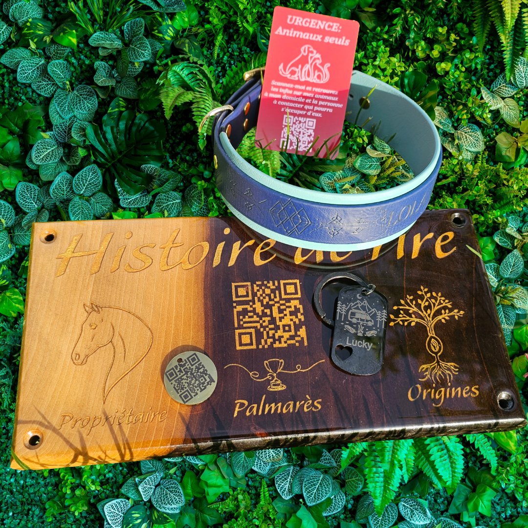 Produits Signature Animale — Médaillon, Collier BioThane, Plaque de box, Carte urgence
